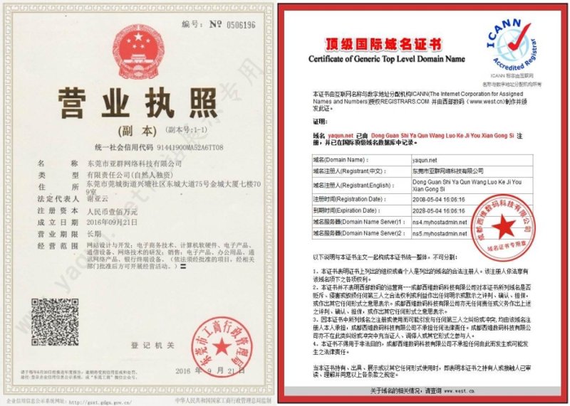 互联网时代的 SEO 赢家